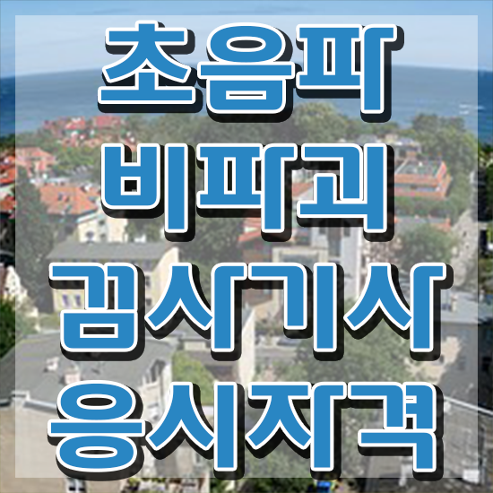  초음파비파괴검사기사 합격률 초음파비파괴검사기사 시험응시자격 온라인 과정으로 편하게 끝낸 노하우