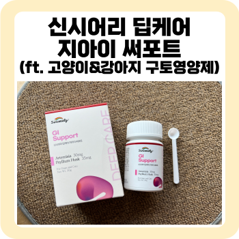  고양이구토 문제를 해결하는 신시어리 딥케어 지아이 써포트