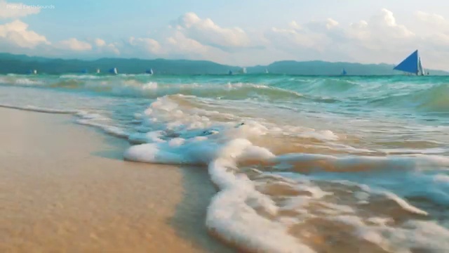  , 학점은행제 플래너 이 부분은 꼼꼼하게 알고가세요