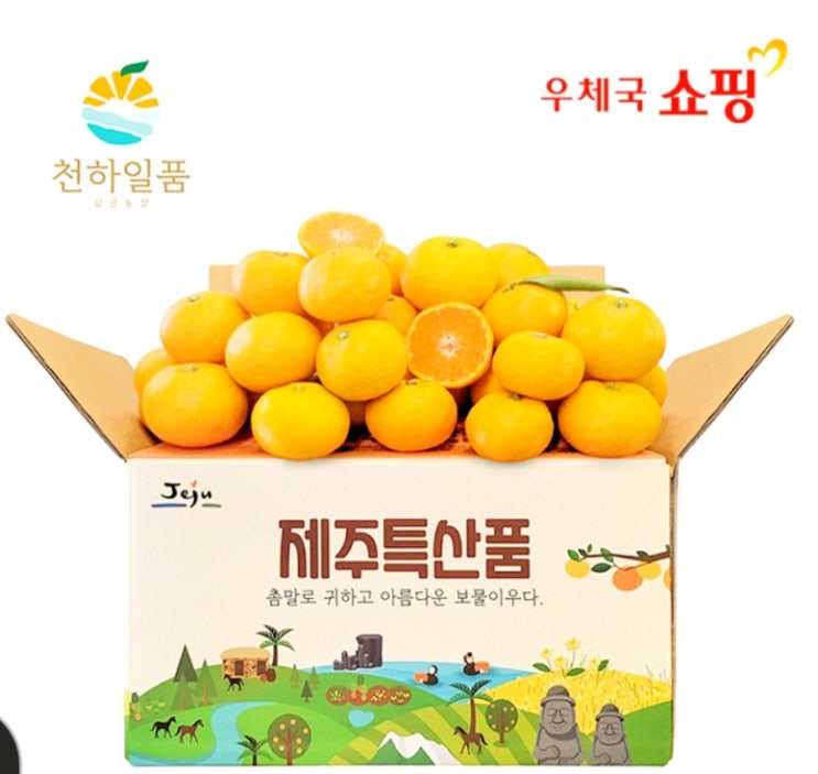  [우체국쇼핑][24첫수확]천하일품 산지발송 제주 제철 노지조생 감귤 3kg, 5kg, 10kg