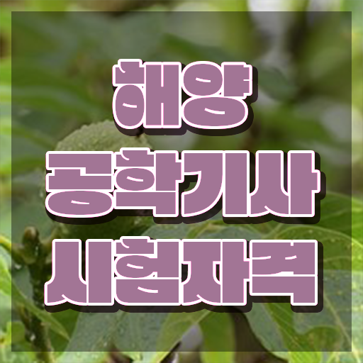  해양공학기사 시험자격 온라인 수업으로 단기간에 준비한 후기
