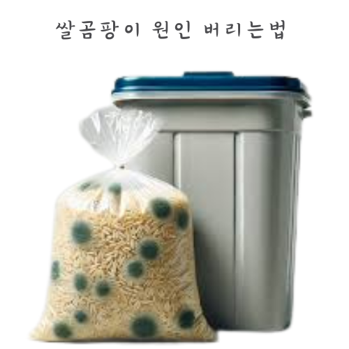 쌀 곰팡이 먹으면 안되는 이유 곰팡이 핀 쌀 버리는방법
