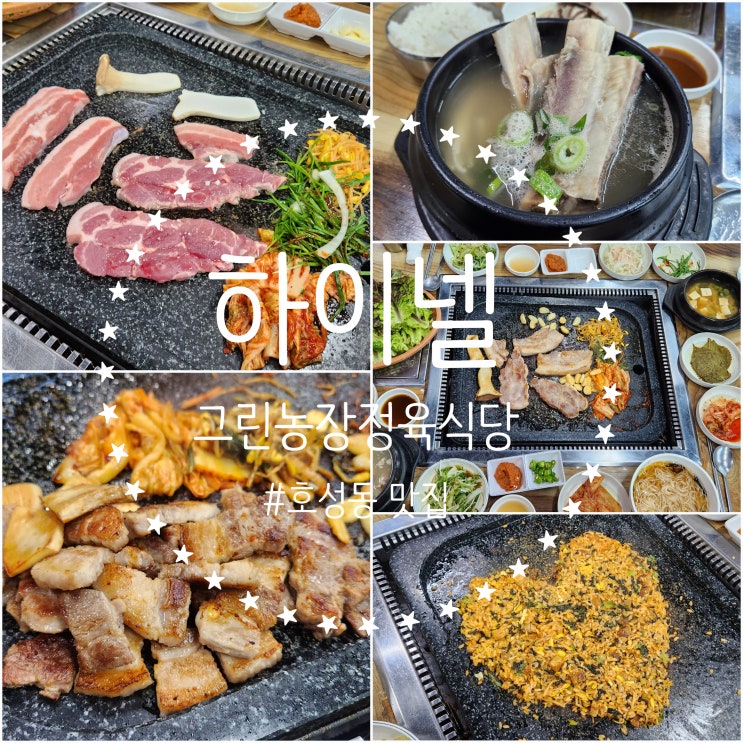  전주 호성동 맛집 [하이넬그린농장 정육식당] 삼겹살 소고기 돌판구이 고기집 점심특선 갈비탕 맛집 추천