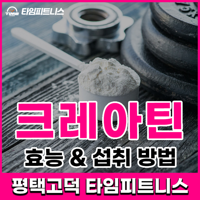  크레아틴 효과 및 섭취 방법 - 평택고덕헬스장 타임피트니스
