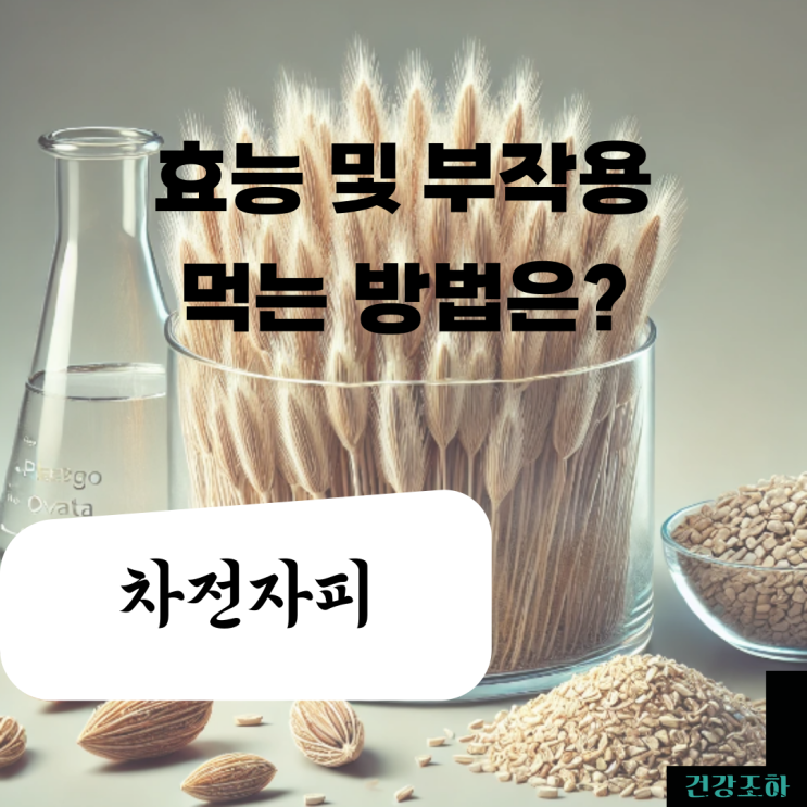  쾌변엔 차전자피 효능과 부작용 및 먹는 법은?