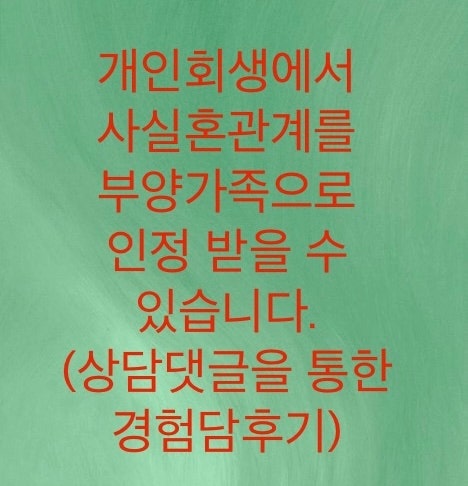  개인회생에서 사실혼 관계를 부양가족으로 인정받을 수 있습니다. (필자의 댓글상담을 통한 경험담)