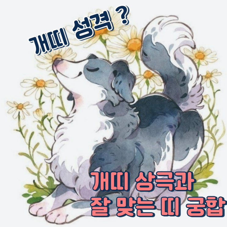  개띠와 잘 맞는 띠 (상극, 성격, 장점, 단점)