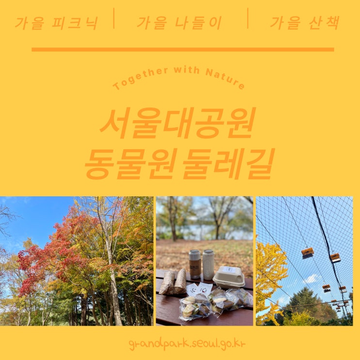  서울대공원 동물원 둘레길 걷기 : 가을 풍경 즐기기 / 가을 피크닉