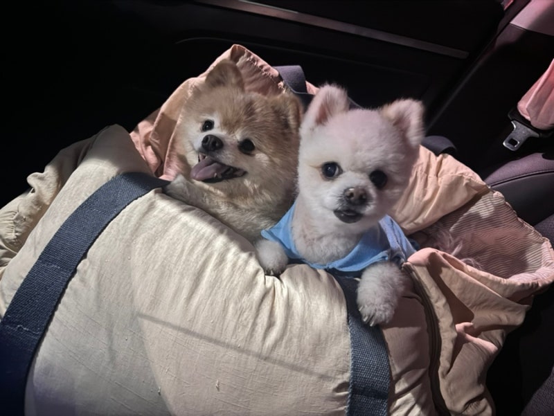사진 2