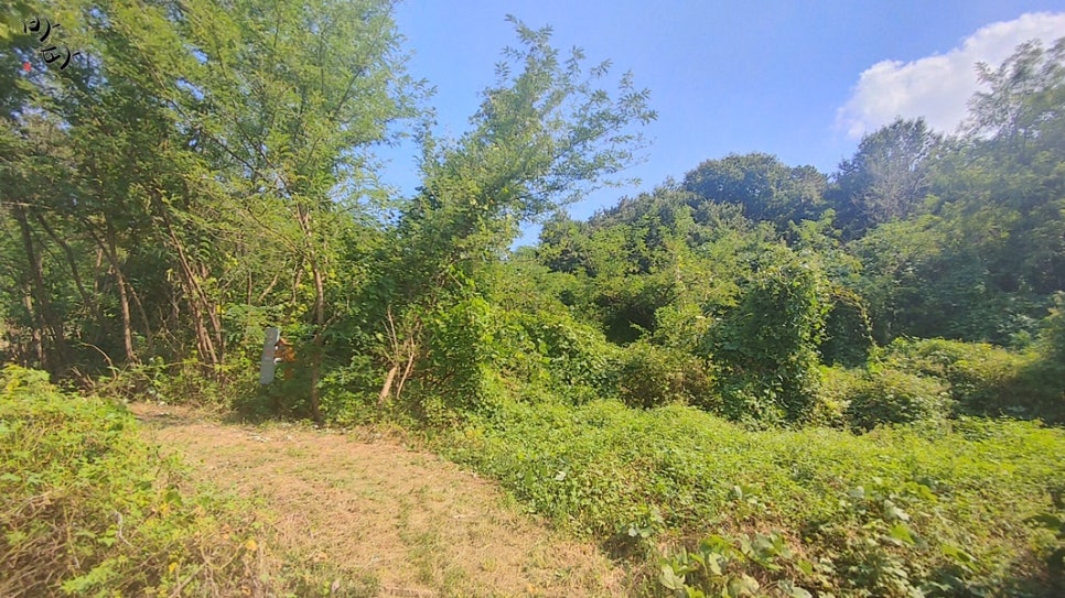 서변산 사진 6