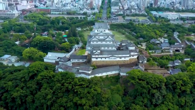  플로리스트 학과 , 플로리스트 자격증 쉽고 간편하게 합격한 전략 및 채용 정보