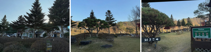  [홍천] 테라스의아침펜션, 강뷰와 바베큐로 즐기는 완벽한 힐링