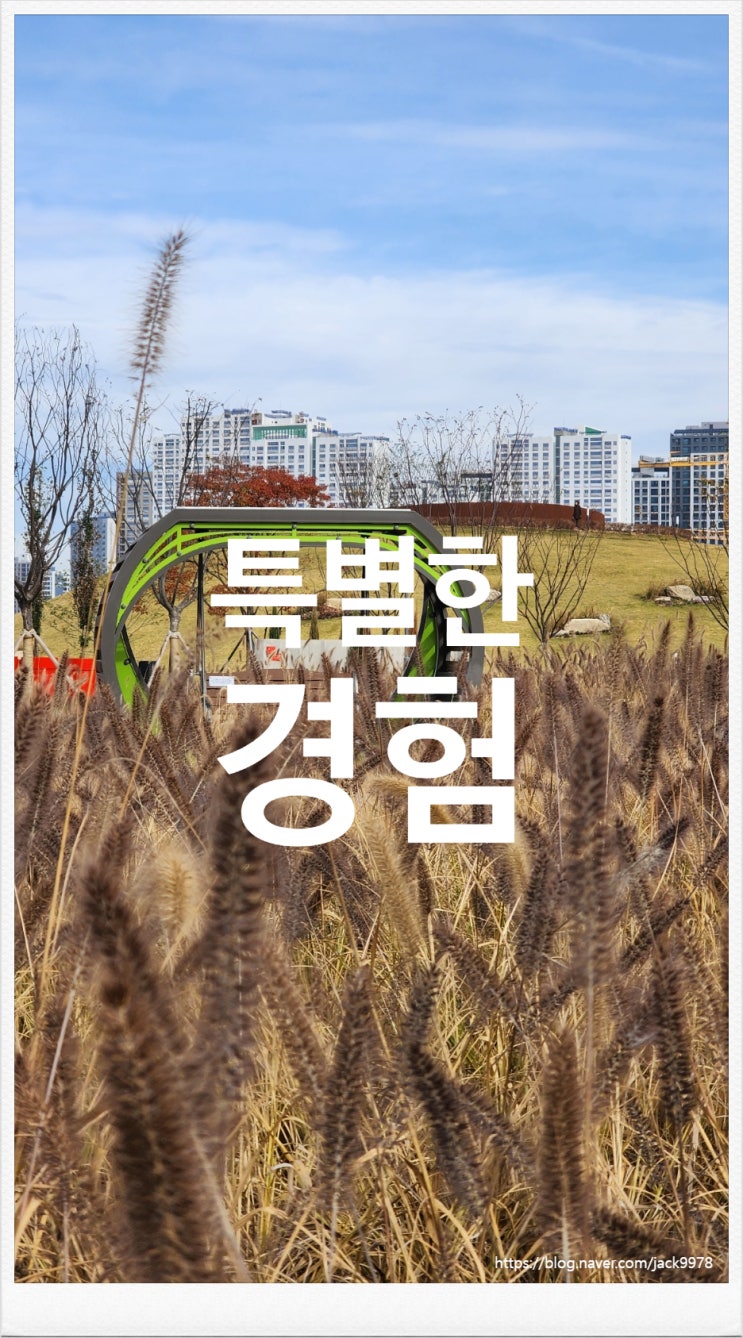  파주의 한 가구 공장에 다녀오다.