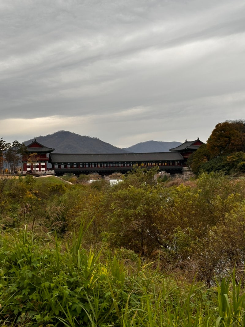 사진 2