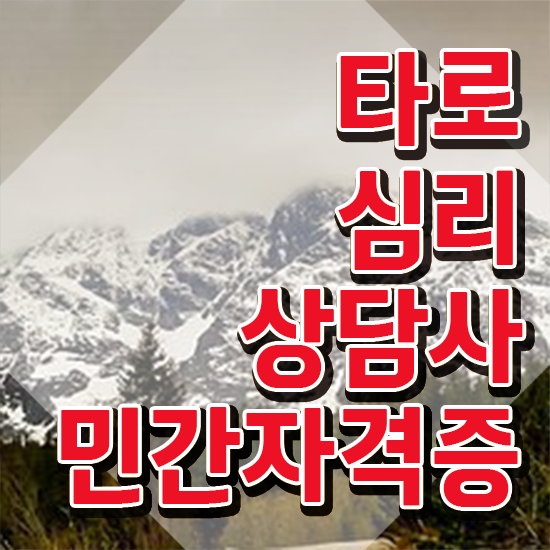  타로 은둔자 , 타로상담전문가 타로상담전문가 동영상으로 준비 과정 최신정보 공유