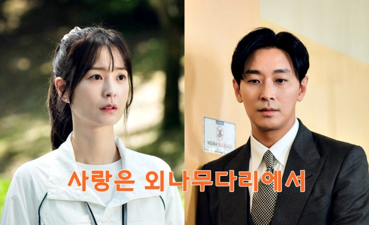 <b>사랑은</b> 외나무다리에서... 몇부작 출연진 <b>주지훈 정유미</b> 이시우