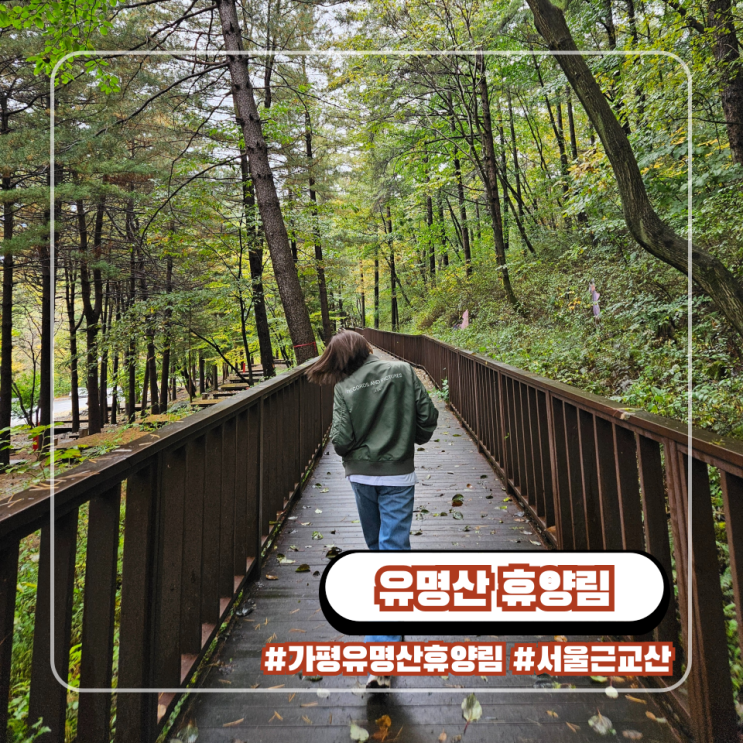  가평 유명산 자연 휴양림 서울 근교 산 힐링 코스 주차 입장료