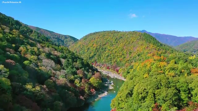  노인 자원봉사 , 자원봉사지도사 자격증 2주 만에 합격한 후기 및 이후 전망