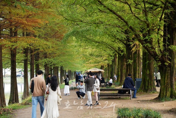  죽녹원, 관방제림, 메타세쿼이아 길에서 담양 매력 알린다..여행 예능 ‘지구마불 남도여행’ 촬영