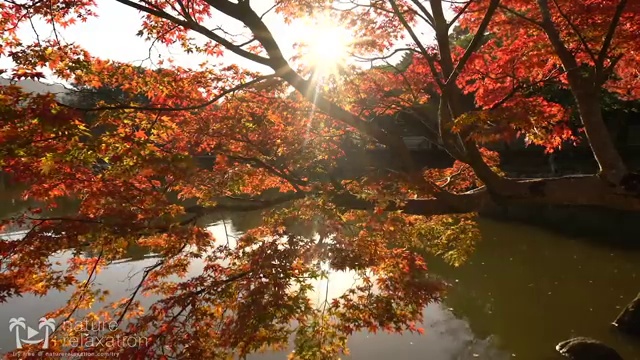  7급 사회복지 공무원 , 사회복지사 고졸자도 온라인 수업으로 수월하게