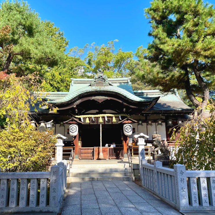  #241119 오사카 근교 여행 - 효고현, 아시야 신사 芦屋神社