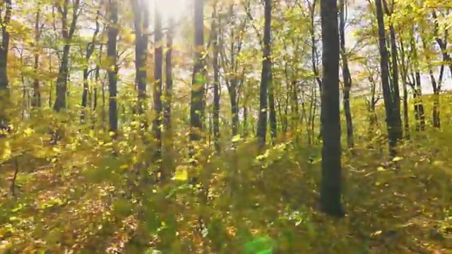  부천 사회복지사독학 , 사회복지사2급 관련학과 아니어도 온라인 수업으로 손쉽게