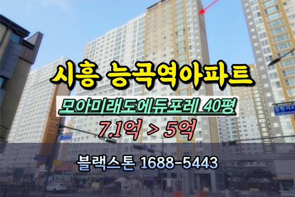  시흥능곡역모아미래도에듀포레 경매 40평 장현동아파트