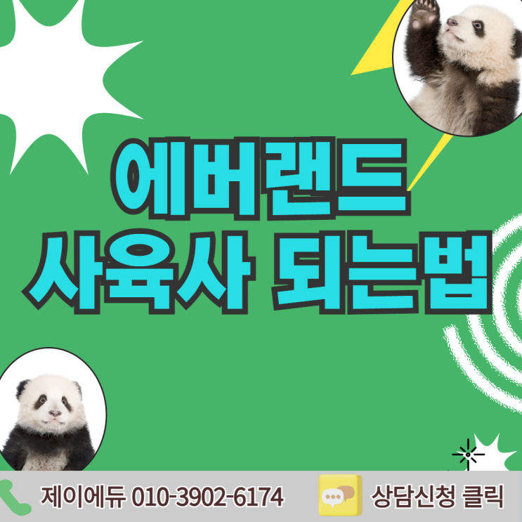  에버랜드 사육사 되는법 어렵지 않아요!!