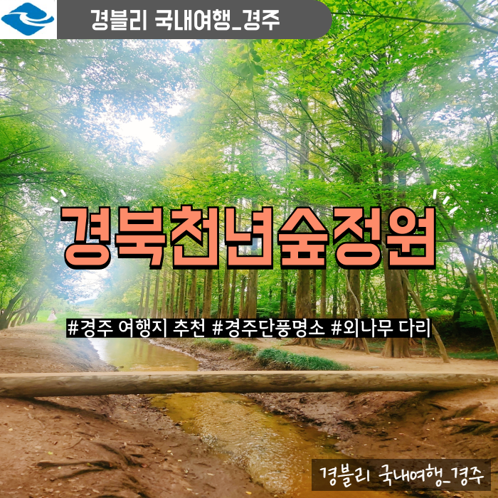  경주가을여행 가볼만한곳 외나무다리 포토존 '경북천년숲정원'