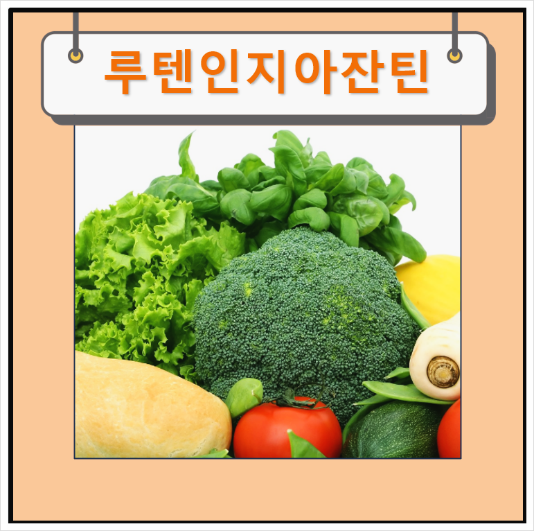 루테인지아잔틴 효능 부작용 음식
