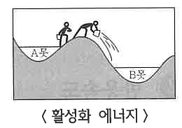 반응속도와 화학평형 반응속도와 화학평형