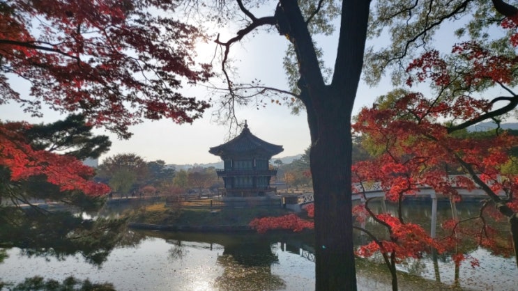  가을 단풍이 아름다운 경복궁 관광정보