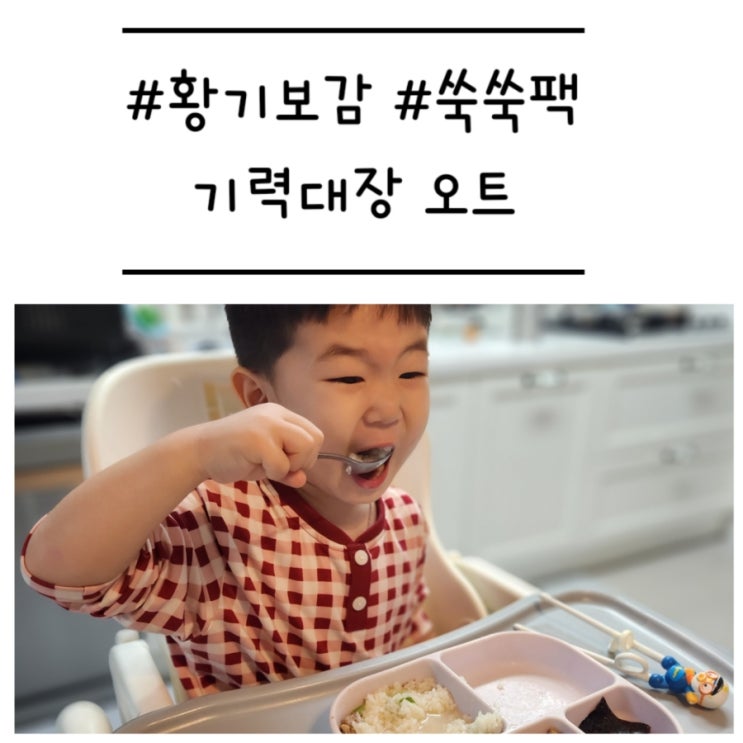  [황기보감] '기력대장 오트' 황기로 밥태기 극복하고 튼튼길만 걷자