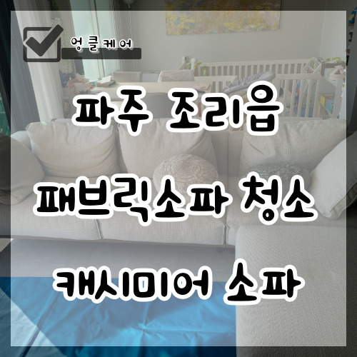  패브릭소파 청소 캐시미어 원단 먼지 제거 오염 제거