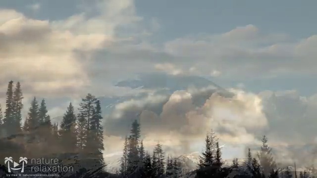  사회복지사 학점은행제 무료기관 , 사회복지사2급 직장인도 독학으로 간편하게