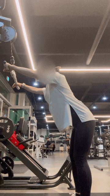  [22일차] 241119 : 배가 부름