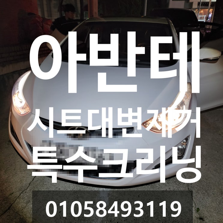  화성 아반테 2열시트 대변제거 및 특수 세척 비용