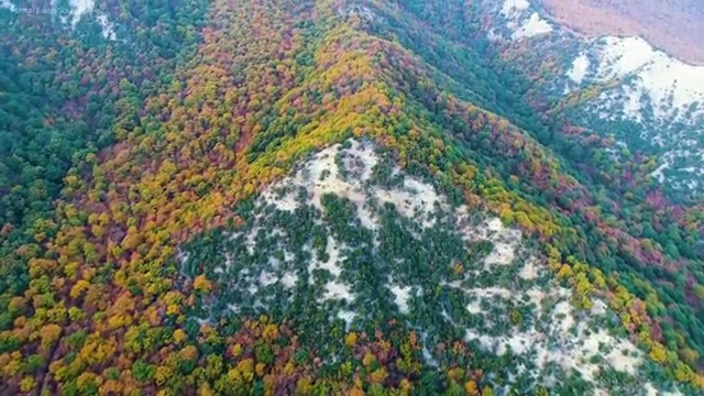  경산평생교육 , 학점은행제 학사학위 인강으로 간단하게 준비했던 방법