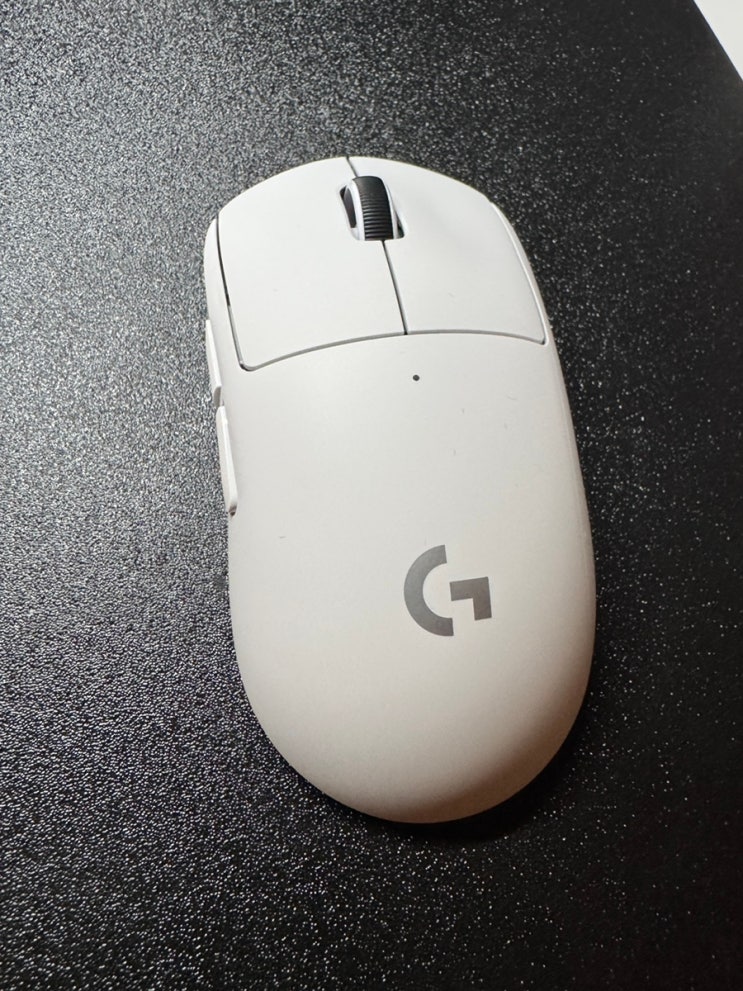 지슈라2 구매 리뷰(로지텍 G PRO X SUPERLIGHT 2)