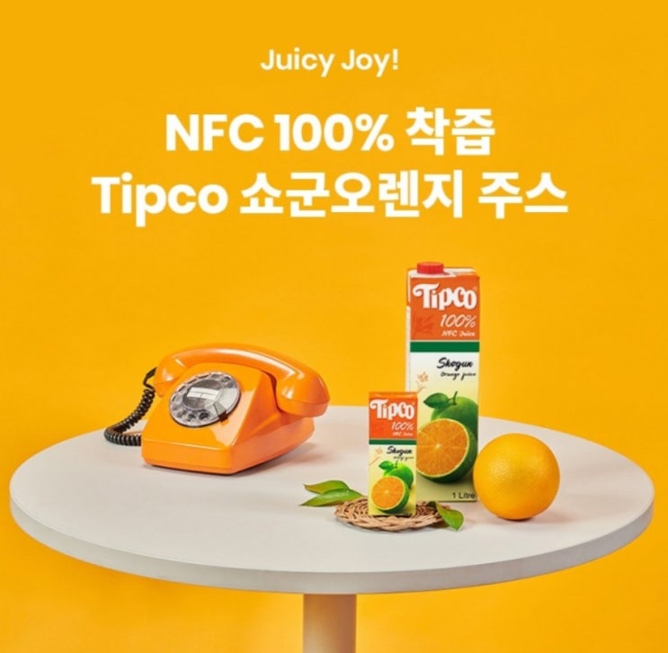  팁코 쇼군 오렌지 주스, 1L, 3개