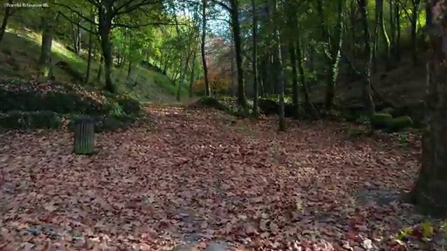  자원봉사지도사 학점은행제 , 자원봉사지도사 자격증 2주 만에 합격한 전략 , 무료수강 혜택