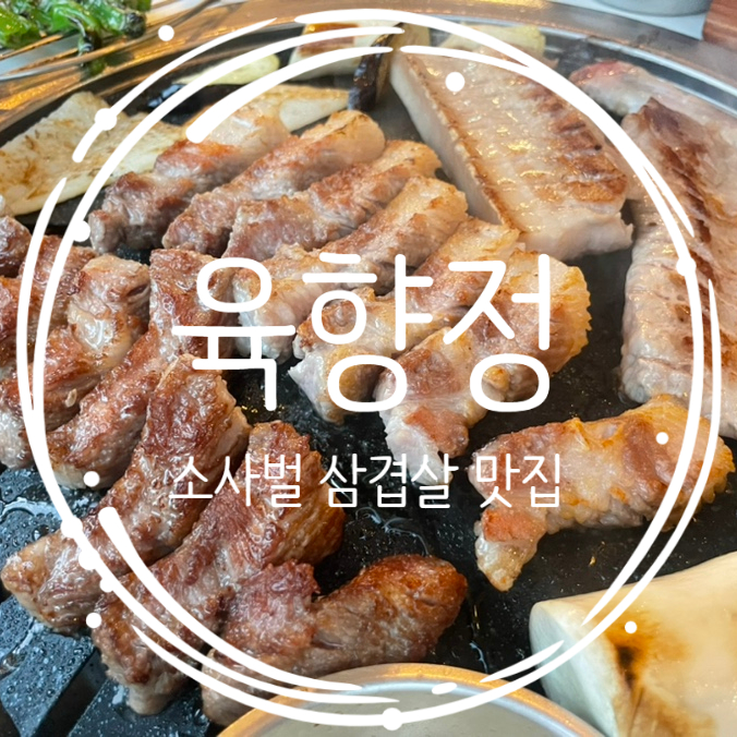  평택 구워주는 고기집 소사벌삼겹살 맛집 육향정
