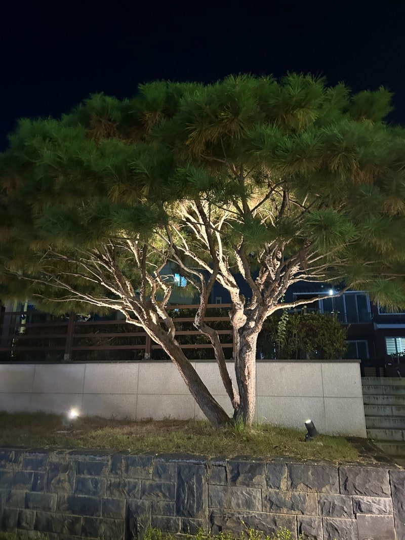 집행유예 판결 설명 이미지