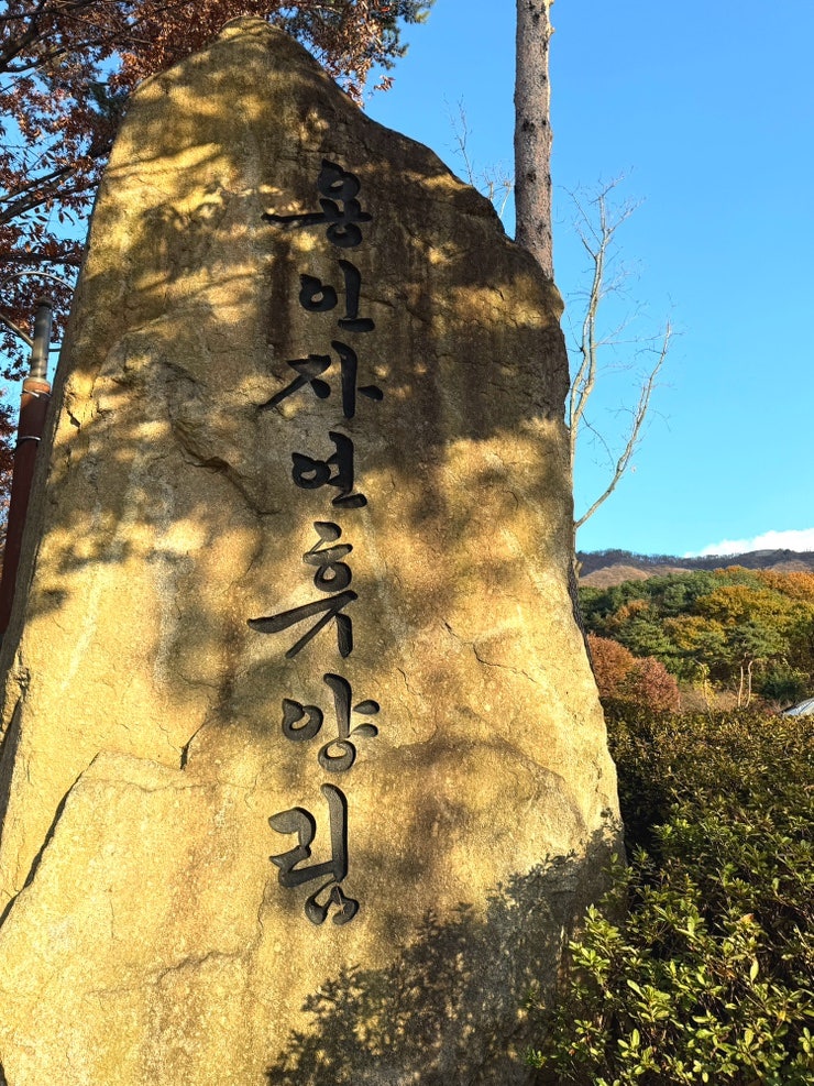 경기도 용인 자연휴양림 가을 느티골 숙박 후기