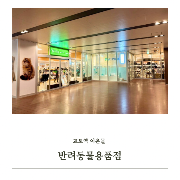 사진 6