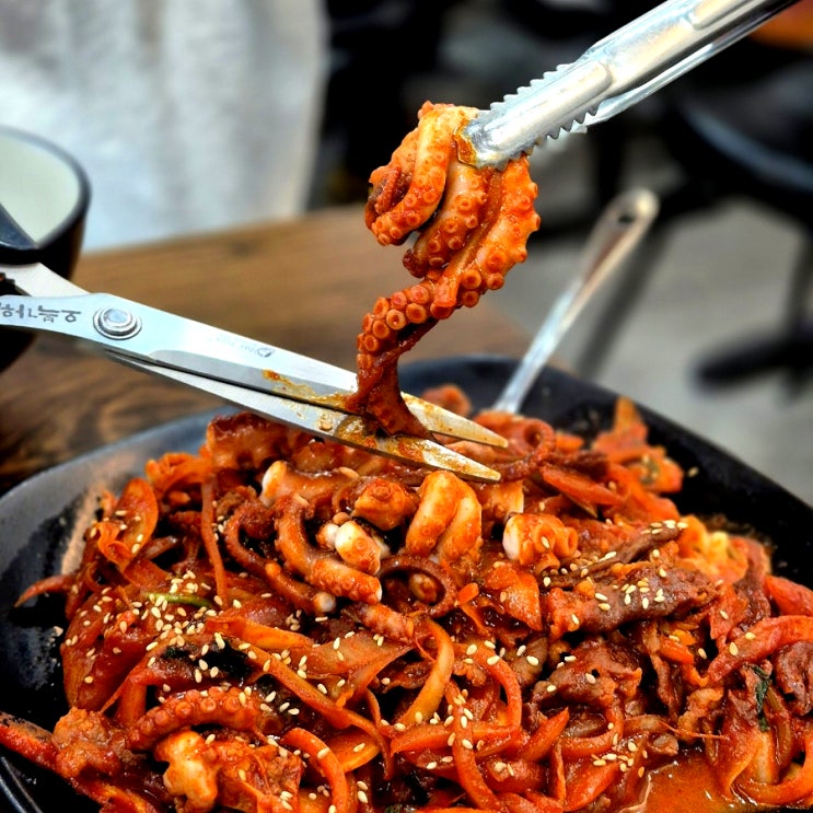  강남역 맛집 낙지요리 생방송투데이 꽃낙지