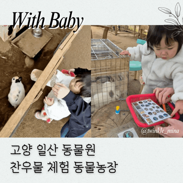  고양 일산 아기랑 동물원 찬우물 동물농장