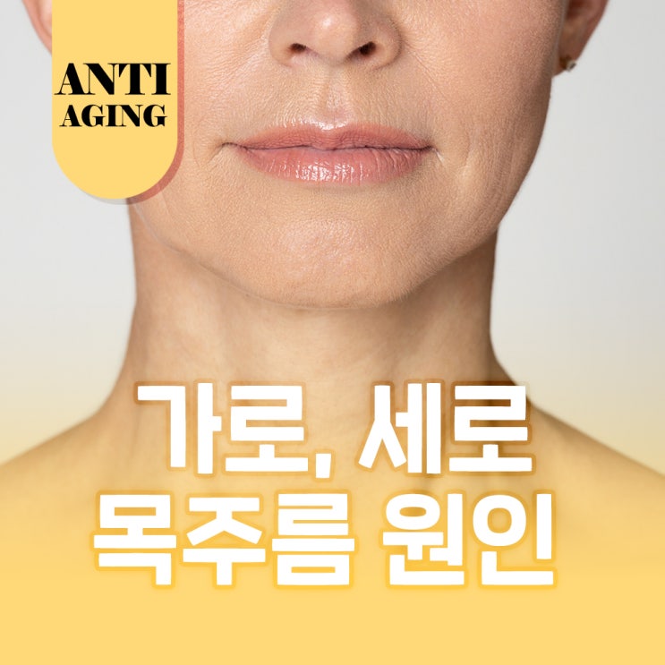  이촌 피부과 가로 세로 목주름 없애는법