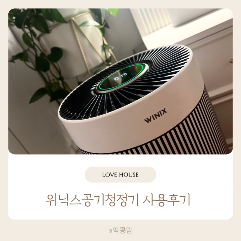 타워엣지 위닉스 공기청정기 실내 공기변화 후기