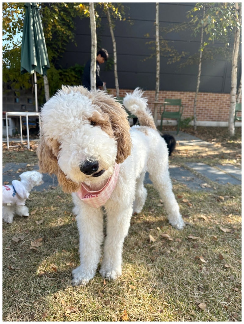 사진 8